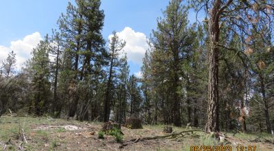 2 adjoining Lots almost 5 acres - Trees - Corner Lot - Camp RV Build
