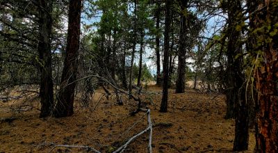 Level Building Lot Oregon - Camp - RV - Build