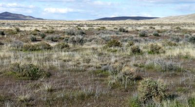 Private 43+ acres * Nevada Mini Ranch * with Massive Western Vistas
