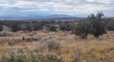 20 acres Scenic New Mexico Huge Southerly Views with Power at the Road
