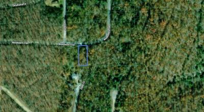 Cherokee Village Arkansas * Residential Lot * Trees * Utilities at street