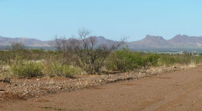 Mobiles Modulars Allowed - Southern Arizona - Several undeveloped Lots Available