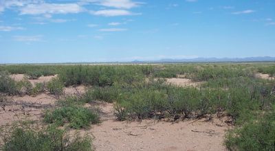 New Mexico Desert 10 acres 5 miles NW of Columbus Dry creek