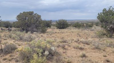 30 acre Central New Mexico Property Windmill Ranch Excellent Roads. Power at Road