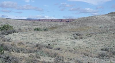 Scenic Duchesne County Utah -  160  acres - Dinosaur Fossil area???