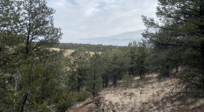 Rare! Bureau of Indian Affairs Inholding 40 acres - New Mexico