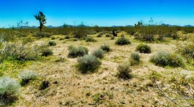Historic Kingman Adventure Base: 0.14 Acre Near Route 66! - Only $95/Month!