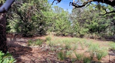 South Fork Colorado - Alpine Village Residential Lot