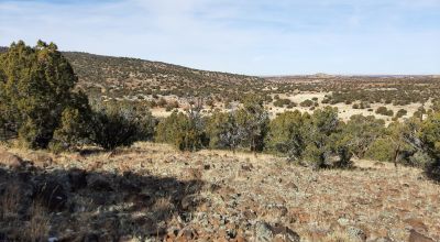 Invest Now - Concho Valley Dream Property