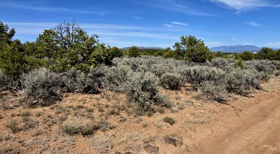 4 adjoining Lots - buy 2 or all 4 - Corner - Some Trees Scenic Views - West of Taos
