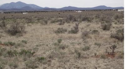 Grand Canyon Getaway Lot