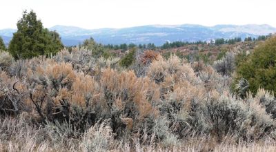 Tierra Amarilla Chama River Estates - 4 adj lots - 2.2 acres