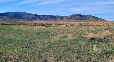 30 acres East of Manassa Colorado - No restrictions