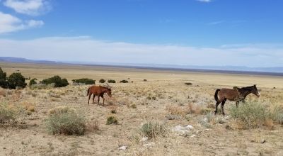 Huge Mt. Blanca and Sangre de Cristo Mountain views - Camp RV build