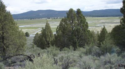 Trees - Views - Klamath Oregon land