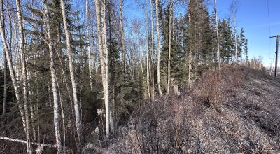 Residential Treed Parcel - Western Outskirts Wasilla Alaska - Backs to Open Space