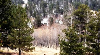 Cripple Creek Mountain Estates - Scenic Views - Residential parcel