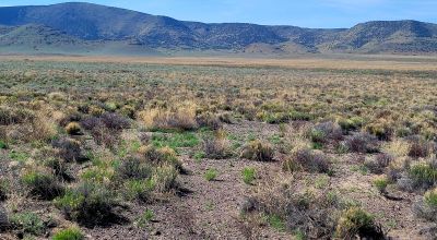 30 acres East of Manassa Colorado - No restrictions