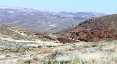 80 acres of Rolling Hills  only $49,000