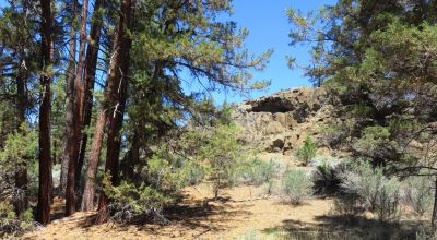 Southerly facing with Unique Rock Formations and trees