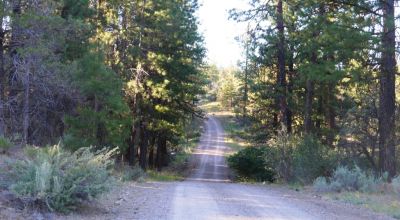 Adjoins Forest Service lands  3 treed lots * 2 together & 1 lot separted by a lot. Buy 1 or 2