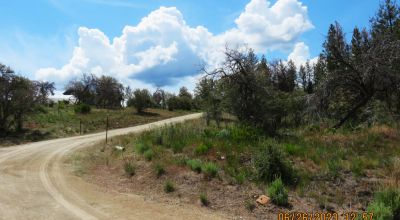 2 adjoining Lots almost 5 acres - Trees - Corner Lot - Camp RV Build