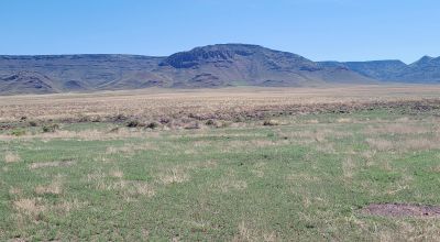 30 acres East of Manassa Colorado - No restrictions