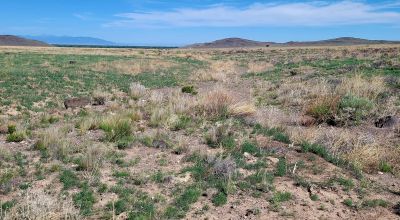 30 acres East of Manassa Colorado - No restrictions