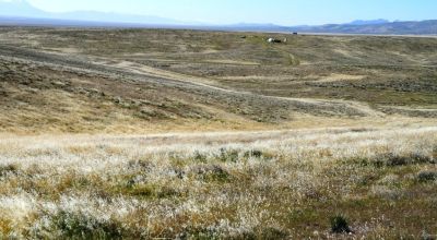 80 acres of Rolling Hills  only $49,000