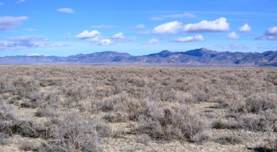 2 adjoining 80 acre parcels * Dolly Varden