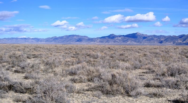 2 adjoining 80 acre parcels * Dolly Varden