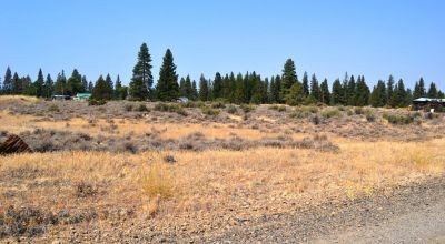 5 Adjacent Lots on Fifth Street in Sprague River Oregon
