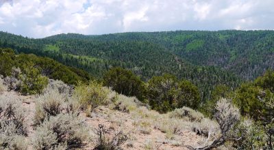 Sangre De Cristo Mountain Range - Southern Colorado Mountain Land