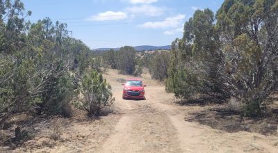 Surrounded by Santa Fe National Forest - Near Las Campanas and Golf Course - 8 Miles from Santa Fe