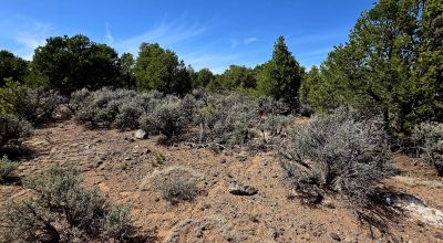 4 adjoining Lots - buy 2 or all 4 - Corner - Some Trees Scenic Views - West of Taos