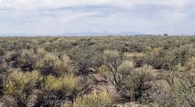 San Luis Valley Scenic Mountain Views - County Road Access