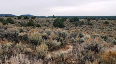 Tierra Amarilla Chama River Estates - 4 adj lots - 2.2 acres