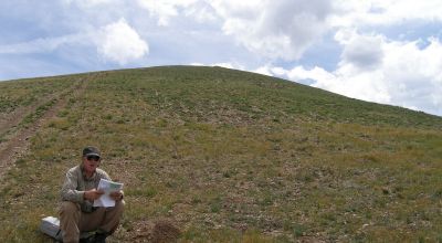 Pristine Mountain Land * Patented Mining Claim near Bonanza Colorado
