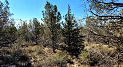 Sprague River Valley Views * Trees * Mobiles, modulars, site-builds ok