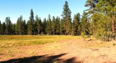 Unique and Rare Parcel Near Bly Mountain Pass - Borders  Pond - Meadows