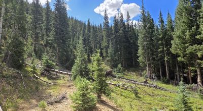 Ouray Colorado -  Red Mountain Mining District- 10 Acres Treed Mountain land
