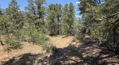 New Mexico Forested Mountain land - Borders Santa Fe National Forest & BLM Lands