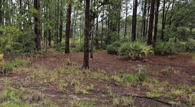 Your Florida Foothold Starts Here | Build Your Winter Home