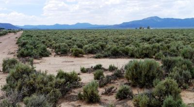 4 individual adjoining 1.1 acre parcels near Modena SW Utah