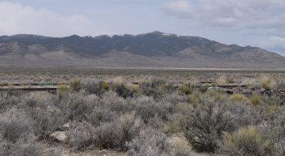 2 adjoining 80 acre parcels * Dolly Varden