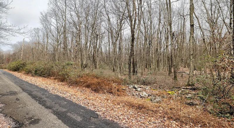 Beautiful Double Lot Flat/Buildable on Private Dead End