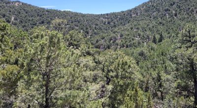 Santa Fe County New Mexico 5 acres in the Mountains - Seasonal Creeks