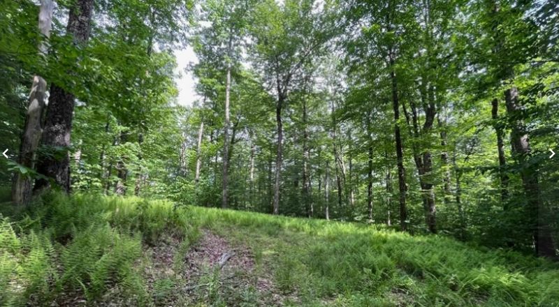12 Acre Commercial / Residential lot in Wilmington, Vermont