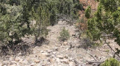 Santa Fe County New Mexico 5 acres in the Mountains - Seasonal Creeks