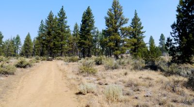 Southern Oregon Sprague River - Trees - Power - Main Road Access